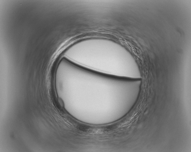 X0000116120295200911230936