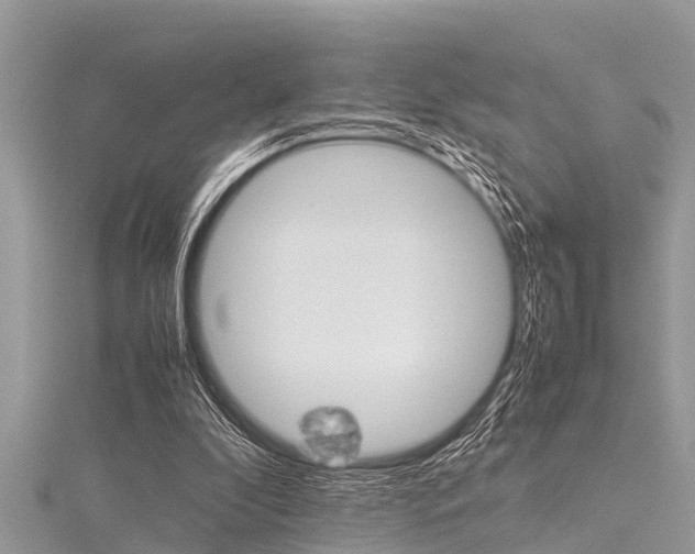 X0000116120296200911230936