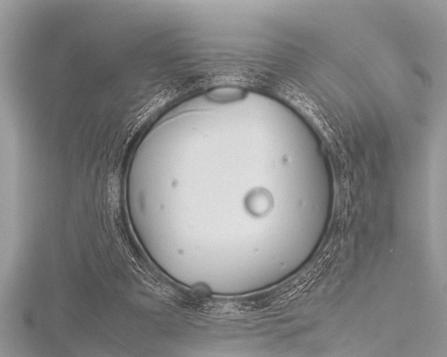 X0000116120297200911230936