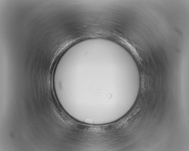 X0000116120298200911230936