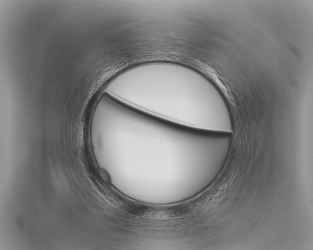 X0000116120299200911230936