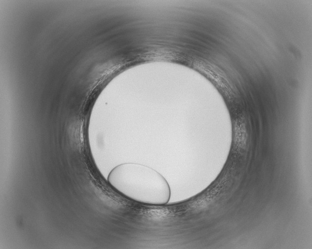 X0000116120302200911230936