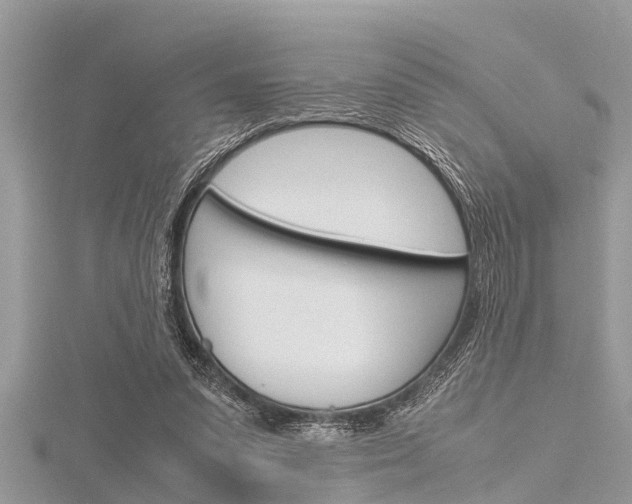 X0000116120303200911230936