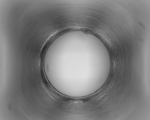 X0000116120304200911230936