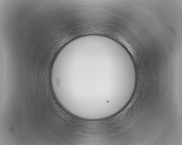 X0000116120305200911230936