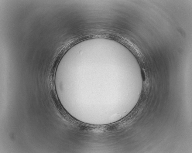 X0000116120306200911230936