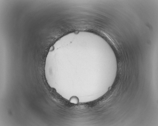 X0000116120307200911230936