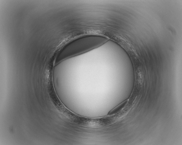 X0000116120308200911230936