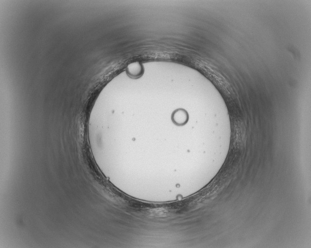 X0000116120309200911230936