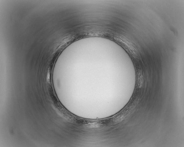 X0000116120310200911230936