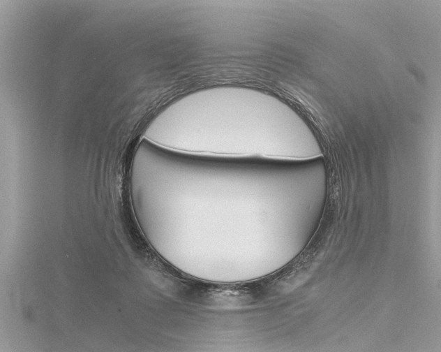 X0000116120315200911230936