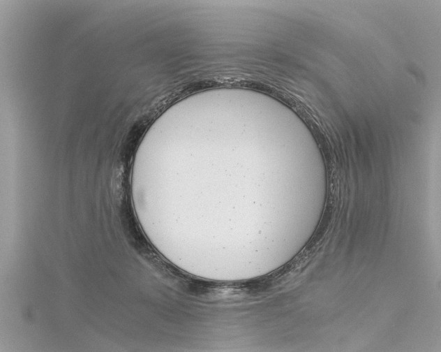 X0000116120319200911230936