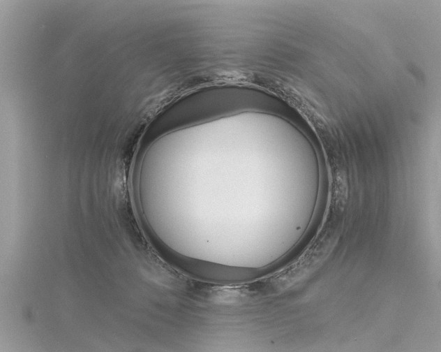 X0000116120320200911230936