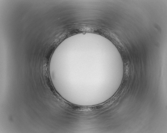 X0000116120322200911230936