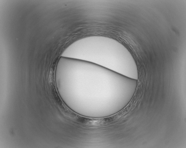 X0000116120323200911230936