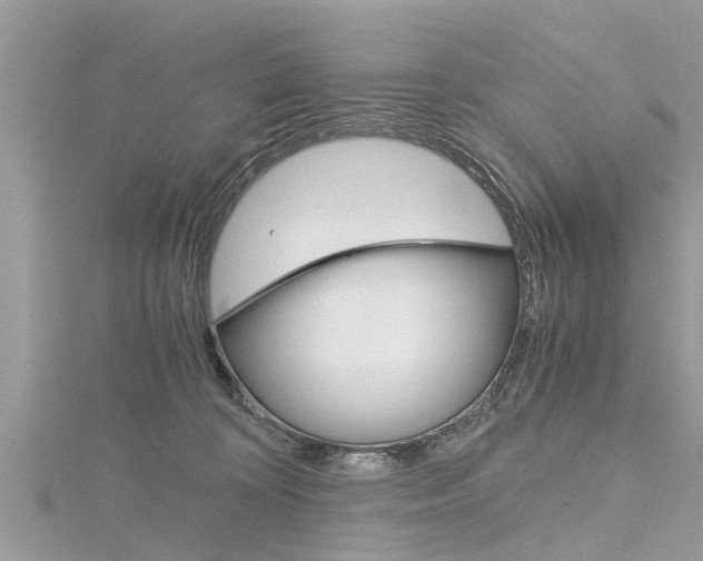 X0000116120324200911230936