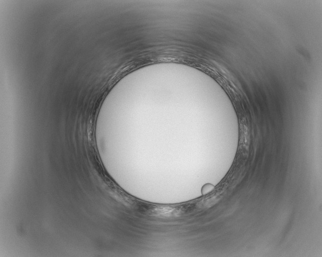 X0000116120326200911230936