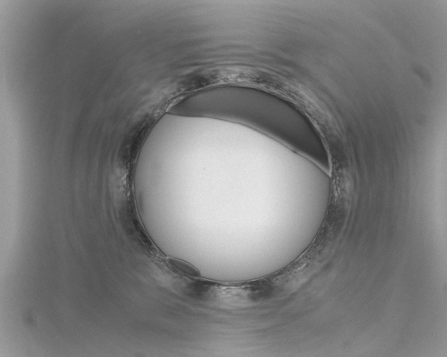 X0000116120327200911230936