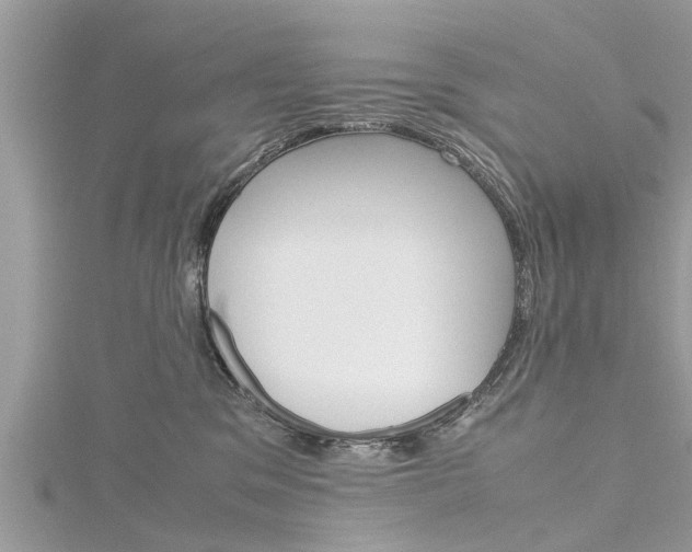 X0000116120329200911230936