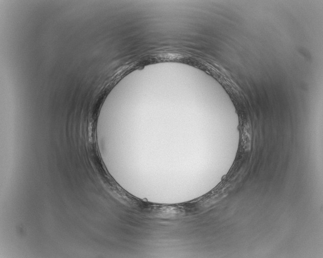 X0000116120330200911230936