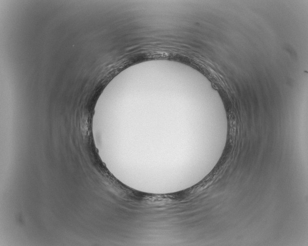 X0000116120331200911230936