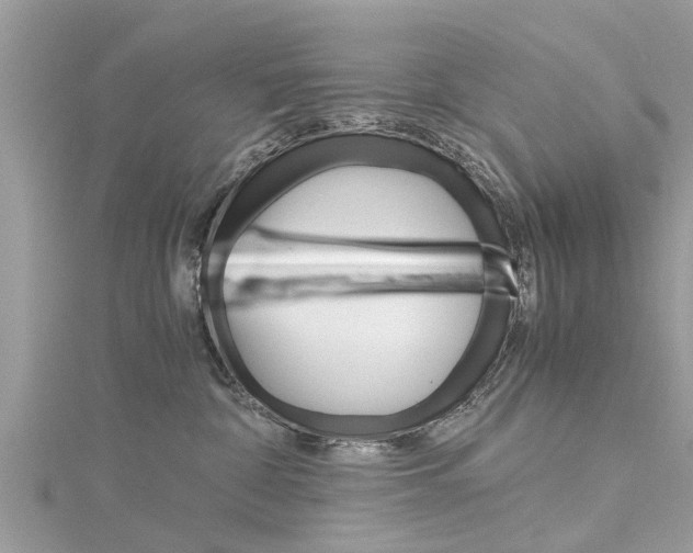 X0000116120332200911230936