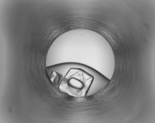 X0000116120333200911230936