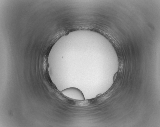 X0000116120334200911230936