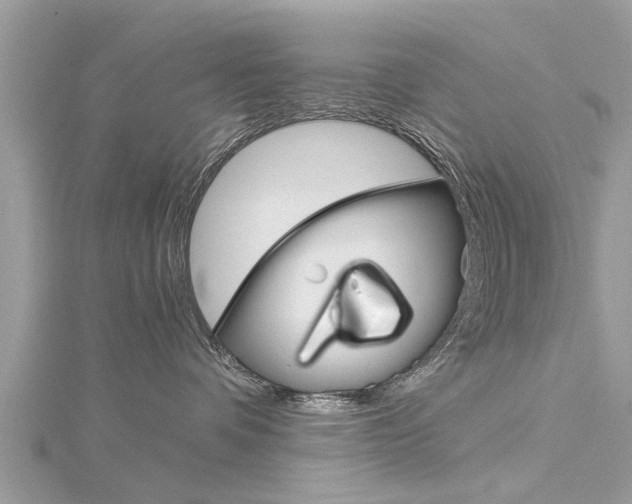 X0000116120336200911230936