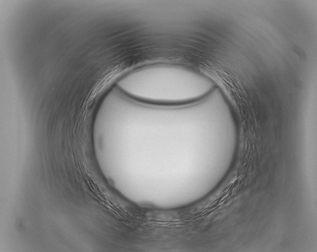 X0000116120337200911230935