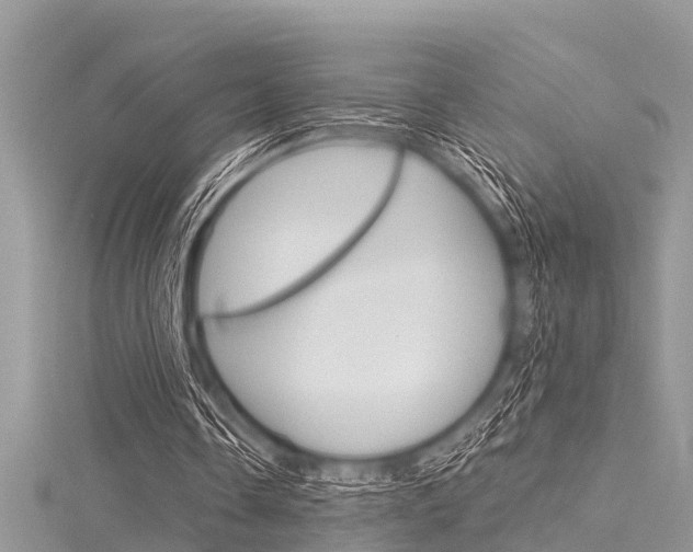 X0000116120338200911230935