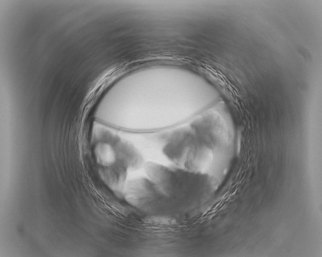 X0000116120339200911230935