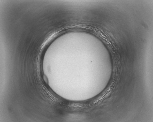 X0000116120341200911230935