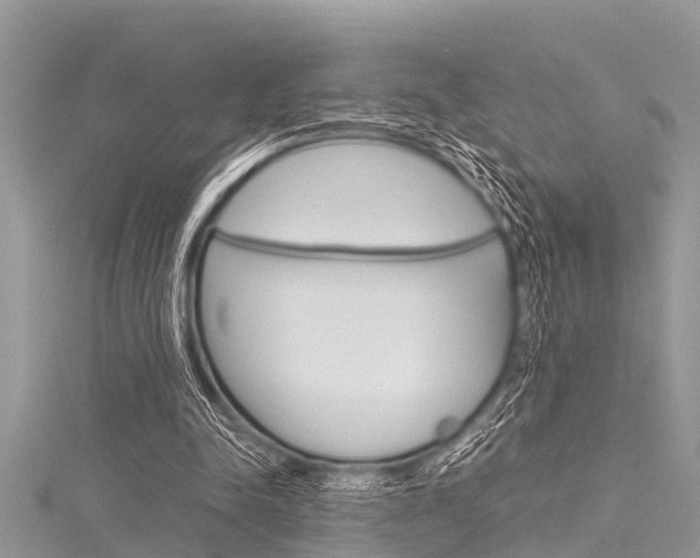 X0000116120342200911230935