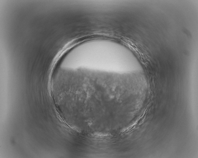 X0000116120343200911230935