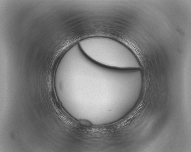 X0000116120345200911230935