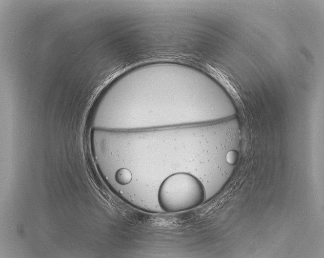 X0000116120346200911230935