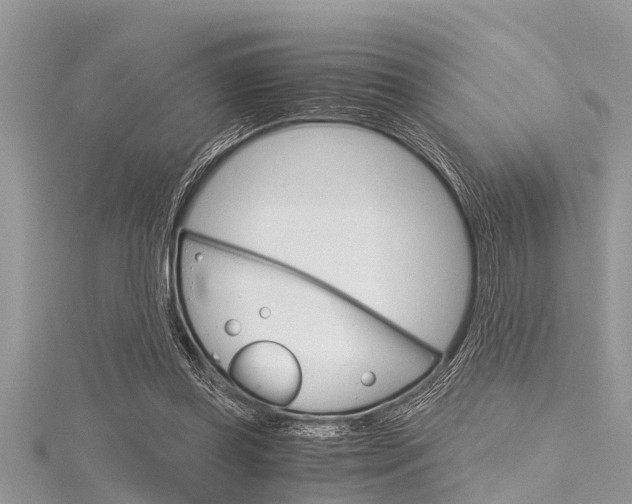 X0000116120349200911230935