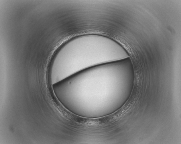 X0000116120350200911230935