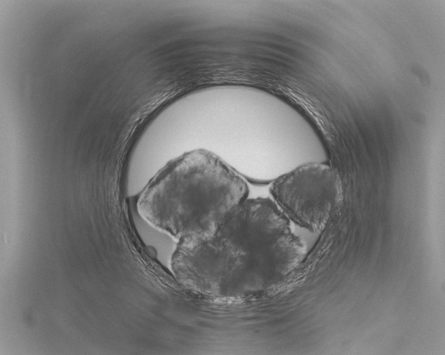 X0000116120353200911230935