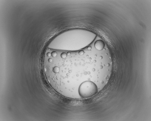 X0000116120354200911230935