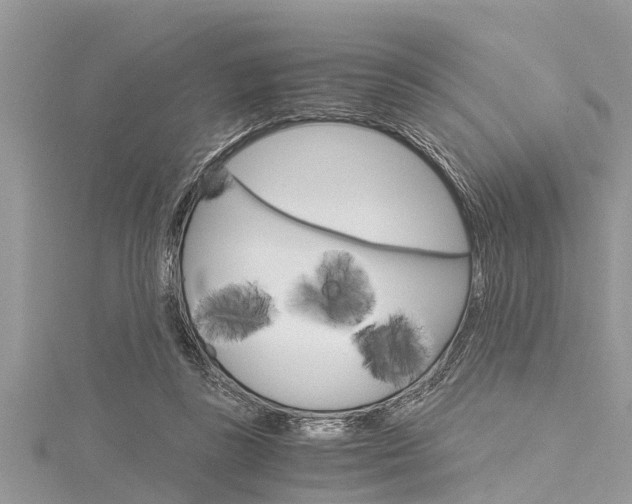 X0000116120355200911230935