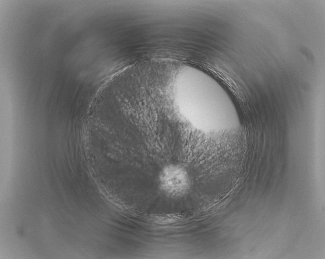 X0000116120359200911230935