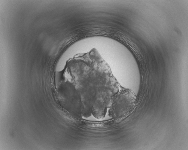 X0000116120361200911230935