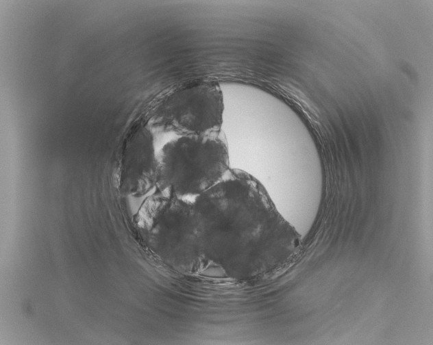 X0000116120365200911230936