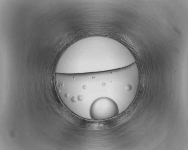 X0000116120366200911230936