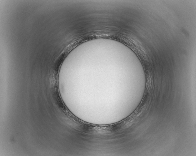 X0000116120367200911230936