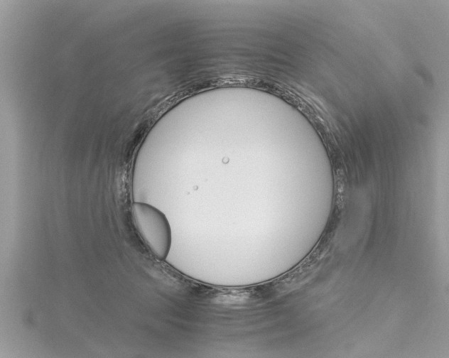 X0000116120369200911230936