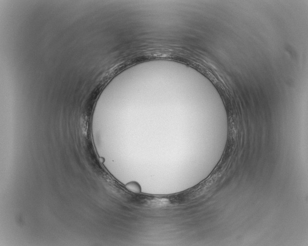 X0000116120374200911230936