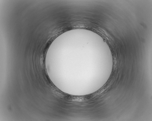 X0000116120377200911230936